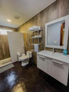 bagno con servizi igienici, lavandino e specchio di Casa Morada ad Antón