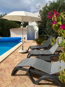 Bazén v ubytování Beach villa Casa de Amanhã 450 mts to the beach with beautiful garden and heated saltwater pool nebo v jeho okolí
