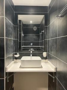 a bathroom with a sink and a mirror at La résidence le Nid Douillet in Le Diamant