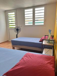 1 dormitorio con 2 camas, ventilador y 2 ventanas en La Yole - appartement, en Bois-Neuf