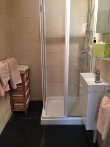 a bathroom with a shower and a sink at The New Court Inn in Usk