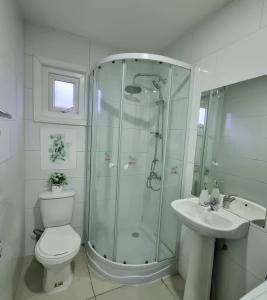 y baño con ducha, aseo y lavamanos. en Hostal Chucaita Puerto Cisnes, en Puerto Cisnes
