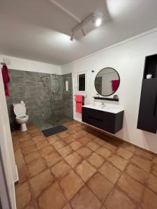 La salle de bains est pourvue de toilettes, d'un lavabo et d'un miroir. dans l'établissement La Yole - appartement, à Bois-Neuf