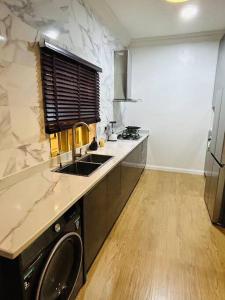uma cozinha com um lavatório e uma bancada em Not Like The Rest of ‘Em! em Lagos