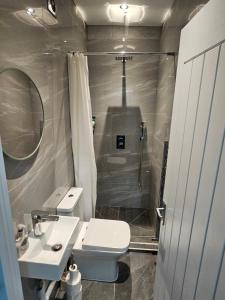 uma casa de banho com um lavatório, um WC e um chuveiro em Private One Bedroom Flat in Barnet, London em Finchley