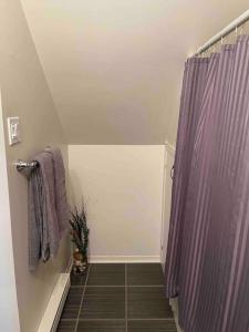 uma casa de banho com um chuveiro com uma cortina de chuveiro roxa em Appartement centre Lévis em Lévis