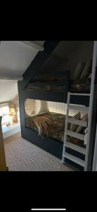 a bedroom with a bunk bed and a ladder at Brynglas Cottage with Hot Tub, Anglesey. in Llanfachraeth