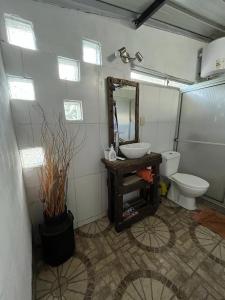 La salle de bains est pourvue d'un lavabo, de toilettes et d'un miroir. dans l'établissement Casa Salinas, à Salinas