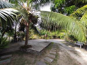 a palm tree in the middle of a road at Apoestin homestay in Siquijor