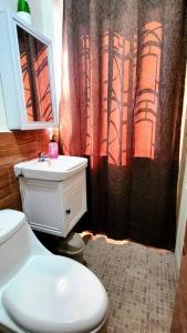 a bathroom with a toilet and a shower curtain at Joya de Santa Ana, Apartamento privado completo in Santa Ana