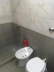 a bathroom with a white toilet and a sink at Los Alamos in Gualeguay