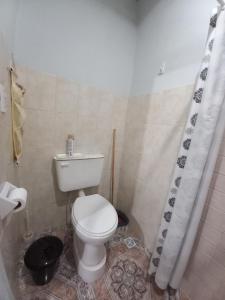 a bathroom with a toilet and a shower curtain at OLENA in Perdriel +5 photos