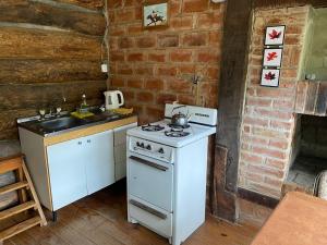 uma pequena cozinha com um fogão e um lavatório em Cabañas de madera 25 m2 Estilo Rústico em La Granja