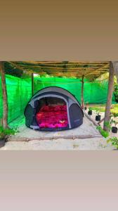 a green tent with a fire inside of it at Haranai Camping & Tours in Te-Fare-Arii
