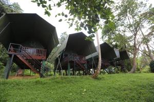 Giardino di 360 Rainforest