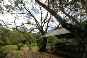 Giardino di 360 Rainforest