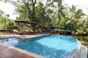 einen Pool mit Stühlen und Sonnenschirmen in einem Resort in der Unterkunft 360 Rainforest in Deniyaya