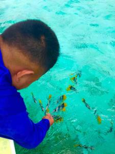 a young boy looking at fish in the water at Haranai Camping & Tours in Te-Fare-Arii