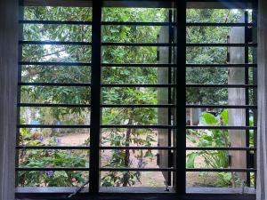 an open window looking out at a garden at Ananda Home Stay and Restaurant in Tangalle