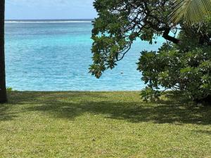 widok na ocean z trawnika z drzewem w obiekcie Tilakaz Kreol w mieście Pointe d'Esny