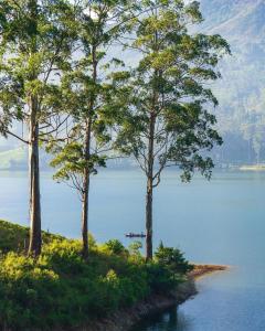 a group of trees on the edge of a body of water at The Farm Resorts in Hatton