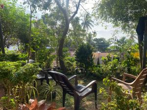 2 sillas y una mesa en un jardín en Ananda Home Stay and Restaurant, en Tangalle