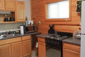 a kitchen with a stove and a microwave at Cuddles, 1 Bedroom Studio, Walk to Downtown and Hiking Trails! in Gatlinburg