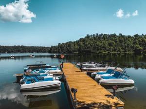 un grupo de barcos atracados en un muelle en un lago en BIESZCZADZKI RAJ Luksusowe domki nad Zalewem Solińskim 608-280-713, en Olchowiec