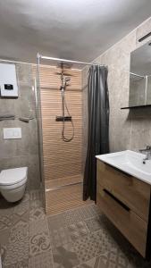 ein Bad mit einer Dusche, einem WC und einem Waschbecken in der Unterkunft Stadtzauber Apartments in Bad Neuenahr-Ahrweiler