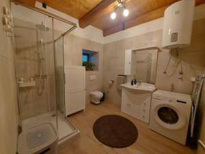 Koupelna v ubytování Apartman Rujka