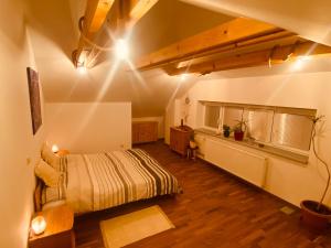 um quarto com uma cama num quarto em Pyramida & Sauna Relax Guest House em Zďár nad Sázavou