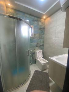 e bagno con doccia, servizi igienici e lavandino. di Dolunay jarash a Jerash