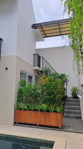 un edificio con cortile con piante e scala di Rumah Menik a Uluwatu