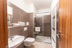 een badkamer met een douche, een toilet en een wastafel bij Apartmany Kouty in Loučná nad Desnou