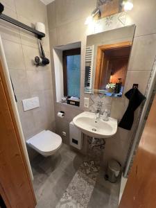 a bathroom with a white toilet and a sink at Chalet St. Lambertus in Lambertsberg