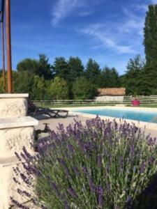 um jardim com flores roxas ao lado de uma piscina em Gîte du Moulin de la Peyrière em Cazes-Mondenard