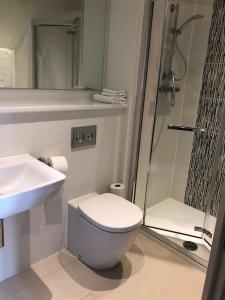 a bathroom with a shower and a toilet and a sink at Bright, modern & close to historic town in Bishops Waltham