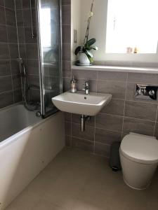 a bathroom with a sink and a toilet at Bright, modern & close to historic town in Bishops Waltham