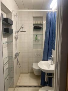 y baño con ducha, aseo y lavamanos. en ApartmentInCopenhagen Apartment 1586, en Copenhague