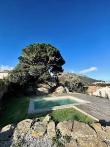 ein Pool in einem Garten neben einem Baum in der Unterkunft Belle villa piscine vue mer in Santa-Reparata-di-Balagna