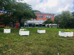 un grupo de plantas en macetas en un campo frente a un edificio en Test Tet Qa Kari en Múnich