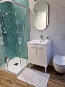 La salle de bains est pourvue d'une douche, d'un lavabo et d'un miroir. dans l'établissement Maison de charme - accès autonome, à Orléans