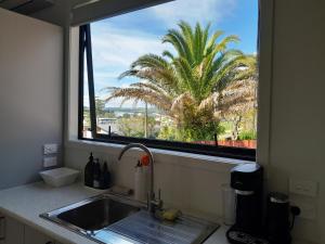 a kitchen window with a sink and a palm tree at The Tiny Abode in Snells Beach