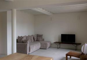 un soggiorno con divano e TV di Appartement avec vue et jardin a Formiguères