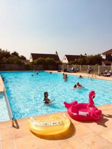 布雷德內的住宿－Zeepark Zeewind，游泳池,游泳池有粉红色的天鹅和浮动