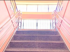 a flight of stairs in a building at Namobuddha Hotel n Lodge in Dhulikhel