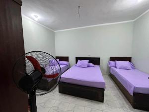 Letto o letti in una camera di Skylen Hostel