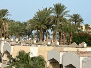 a group of palm trees in front of a building at Skylen Hostel in Hurghada