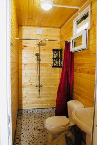 a bathroom with a shower and a toilet and a sink at ANANIA Cottage in Batumi