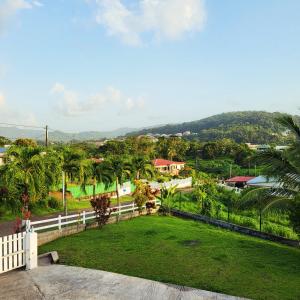 a view of a yard with a fence and palm trees at La Bourgeoisie Créole in Grande Savane